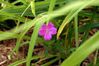 image0002.jpg
